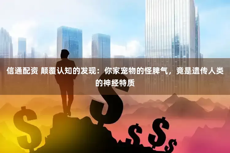 信通配资 颠覆认知的发现：你家宠物的怪脾气，竟是遗传人类的神经特质